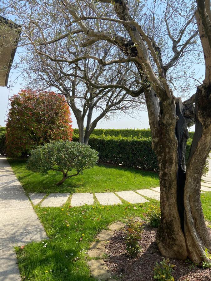 Casa Luigi - Appartamenti A Peschiera Del Garda Peschiera del Garda Exterior foto